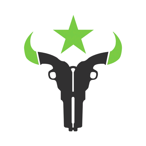 Файл:Общие-Houston Outlaws-Граффити.png