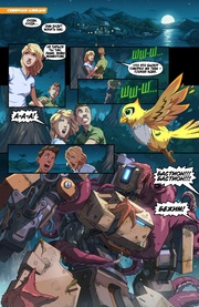 следующая страница →