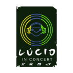 На концерте