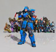 Полицейская