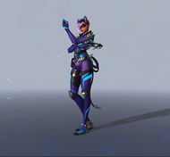 Черная кошка