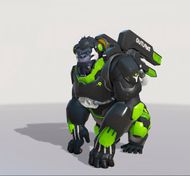 Houston Outlaws