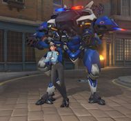 Страж порядка